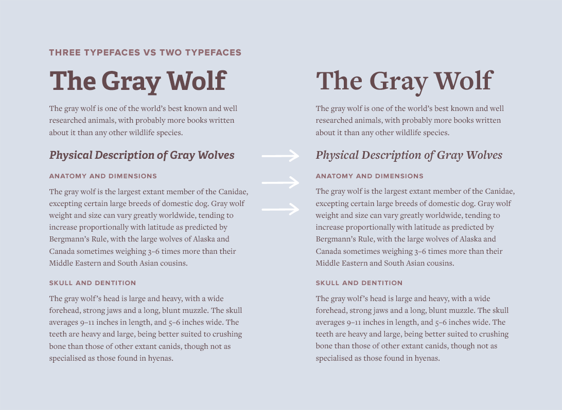 Two typefaces vs three typefaces